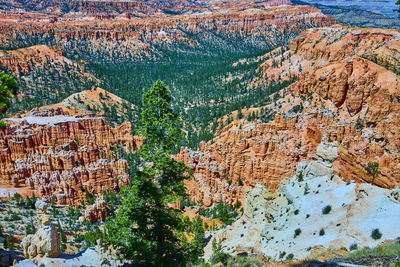 canyon