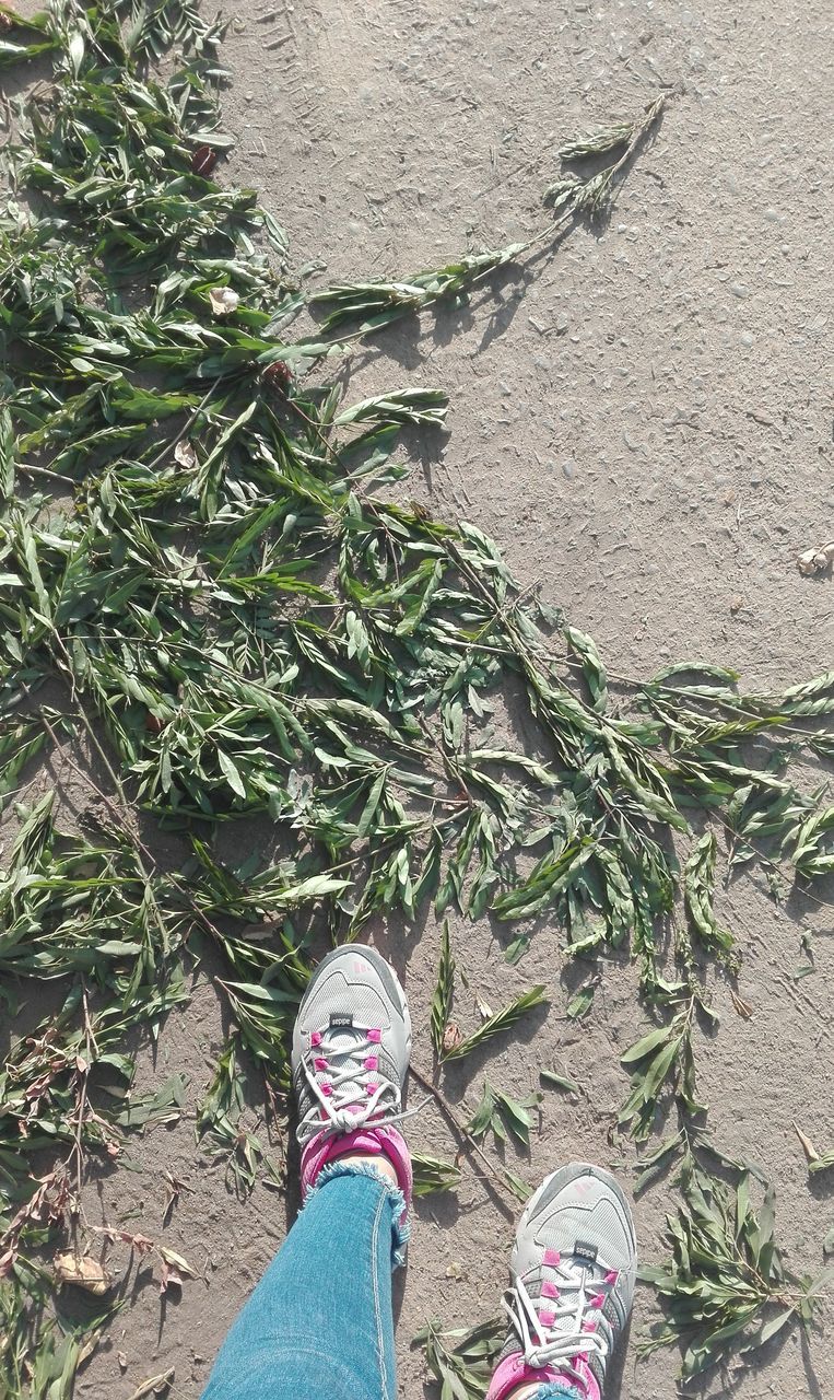 LOW SECTION OF WOMAN STANDING ON FOOTPATH