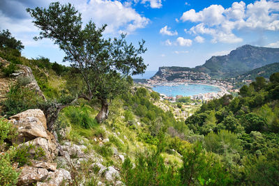 Scenic view of sea and trees against sky