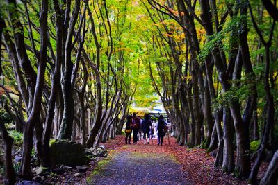 People walking in forest