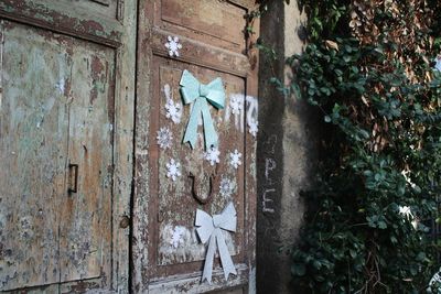 Plants growing in abandoned wall