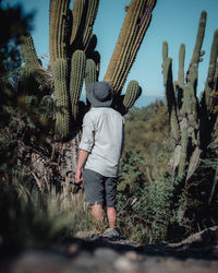 Rear view of man standing by cactus on field