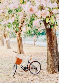 Bicycle parked on tree