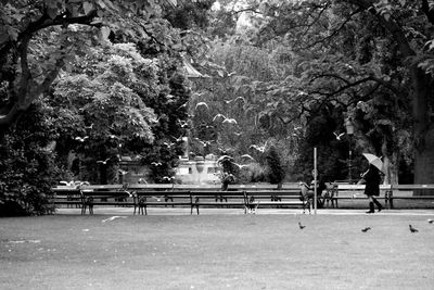 People sitting on bench in park