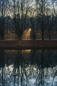 Reflection of trees in lake against sky