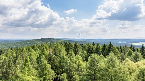 Scenic view of trees against cloudy sky