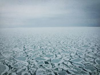 Ice floes floating on sea