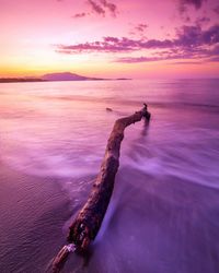 Driftwood on beach against sky during sunset