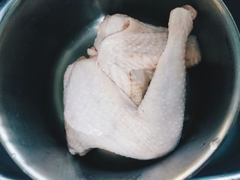 Close-up of seafood in bowl