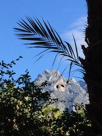 Scenic view of calm sea against sky