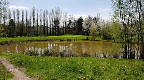 Scenic view of lake in forest against sky