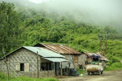 Houses in village