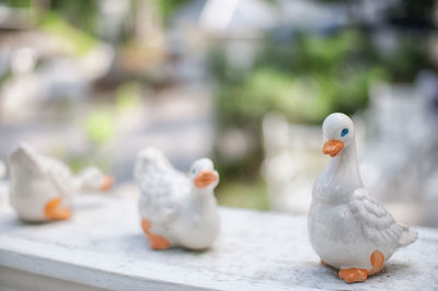 Close-up of bird figurines on wall