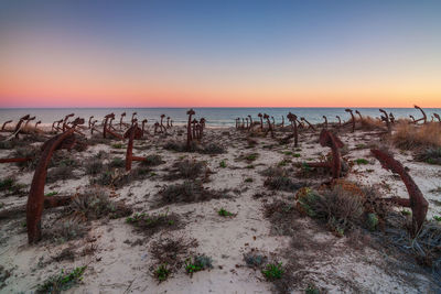 Scenic view of sea against clear sky during sunset