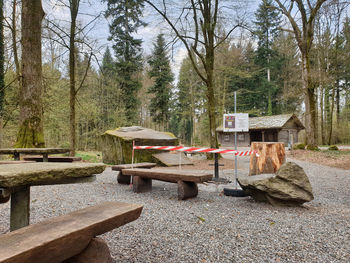 Empty park bench by trees in forest