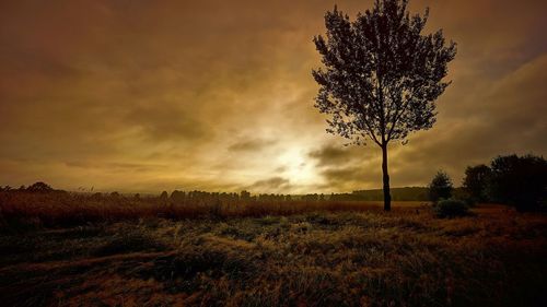 Scenic view of field against cloudy sky