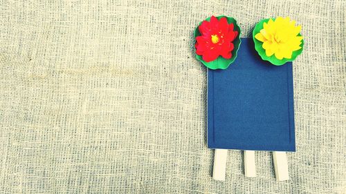 High angle view of multi colored flower on table