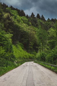 Road amidst trees in forest against sky