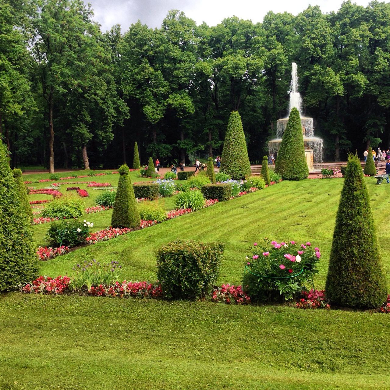 grass, tree, green color, park - man made space, growth, flower, formal garden, lawn, field, beauty in nature, garden, park, nature, freshness, tranquility, hedge, tranquil scene, flowerbed, incidental people, outdoors