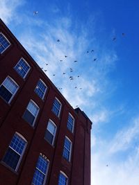 Low angle view of bird flying in sky