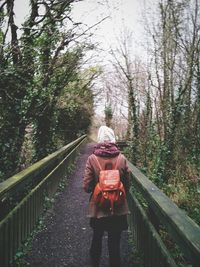 Rear view of woman hiking on boardwalk in forest