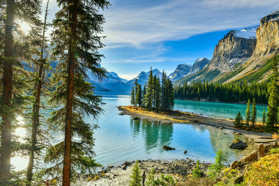 Scenic view of lake by trees against sky