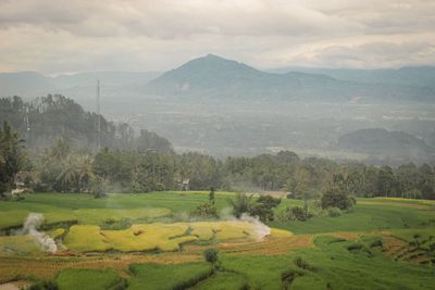 Scenic view of agricultural field against sky