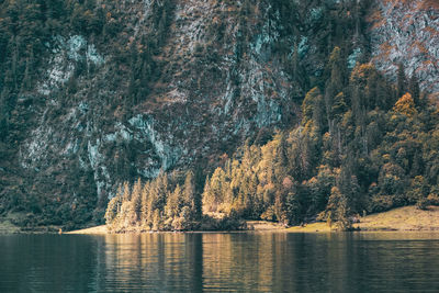 Scenic view of lake by trees on mountain