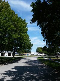 Empty road with trees in background