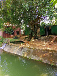 View of swimming pool by lake