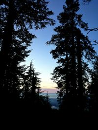 Silhouette of trees against sky at sunset