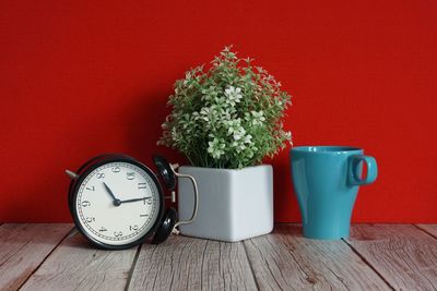 Close-up of potted plant on table