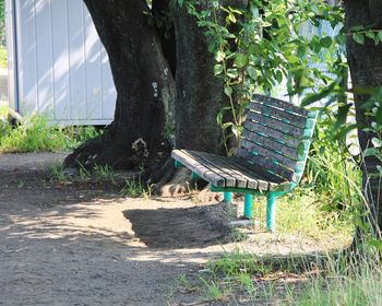 View of an animal on bench