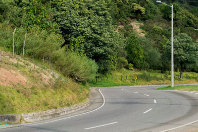 Scenic view of road amidst trees