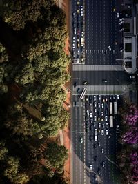 High angle view of cars on road by trees