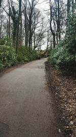 Road amidst trees