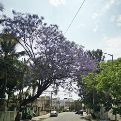 Road passing through city