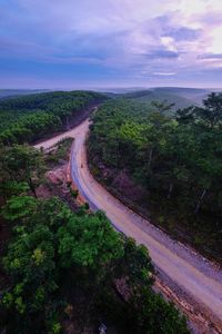 Scenic view of road amidst trees against sky