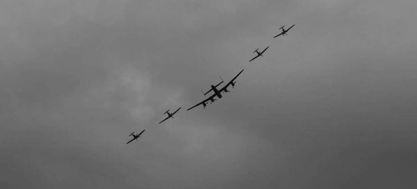 Low angle view of birds flying against sky