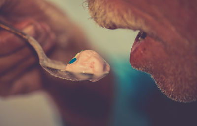 Close-up of jellyfish