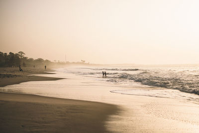 Silhouette people walking at beach against clear sky during sunset