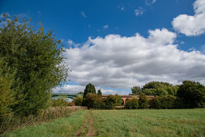 Trees on field against sky