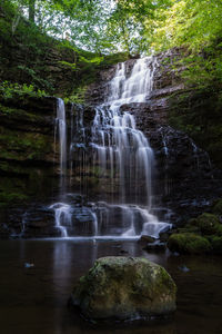 Scenic view of waterfall in forest