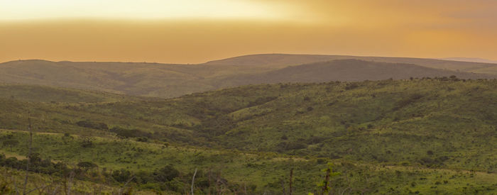 Hluhluwe imfolozi park nature reserve south africa