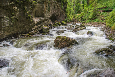 River flowing through rocks in forest