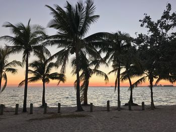 Silhouette palm trees on beach against clear sky