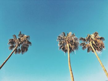 Low angle view of clear blue sky