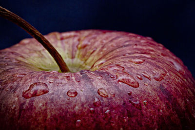 Close-up of red chili pepper against black background