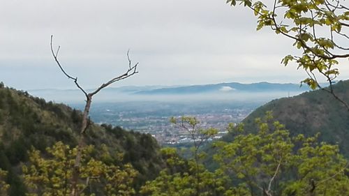 Scenic view of tree mountains against sky