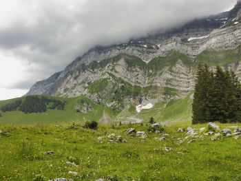 Scenic view of landscape and mountains against sky